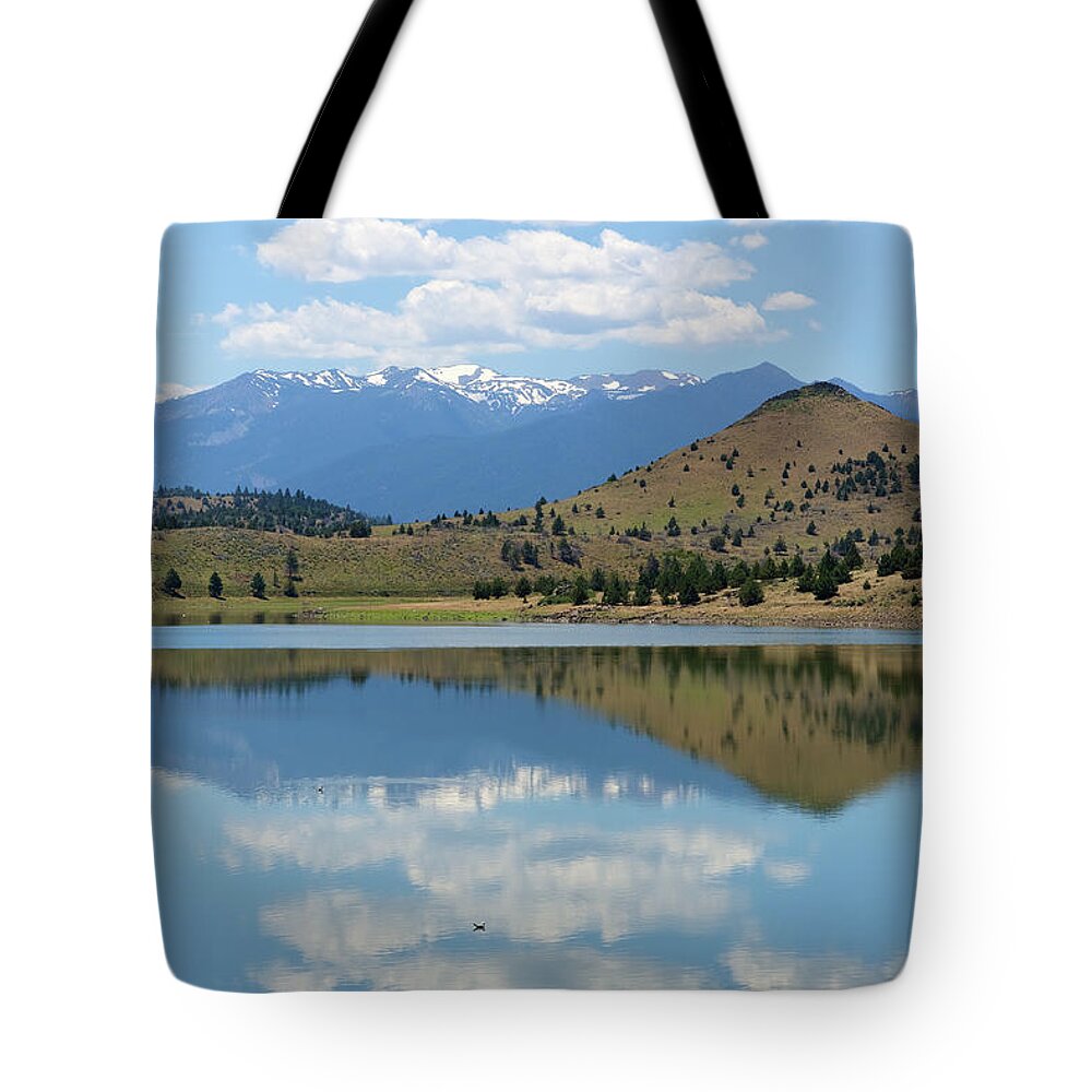 Lake Shasta Tote Bag featuring the photograph Lake Shasta by Richard J Cassato