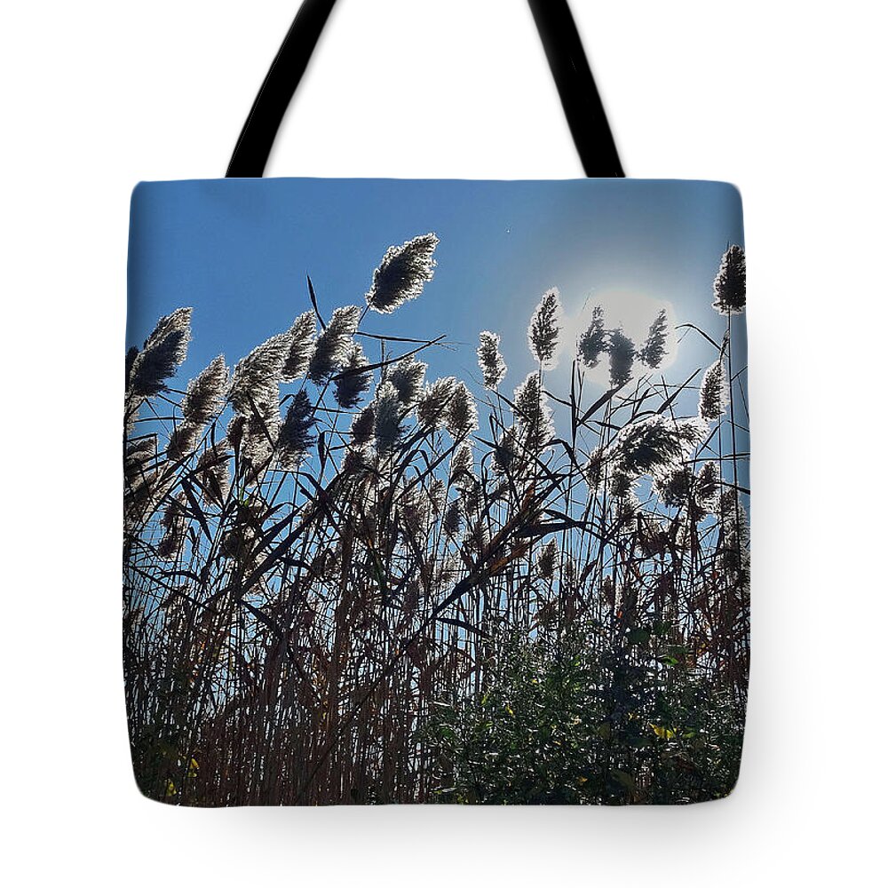 Plants Tote Bag featuring the photograph Lakeside plants by Mikki Cucuzzo