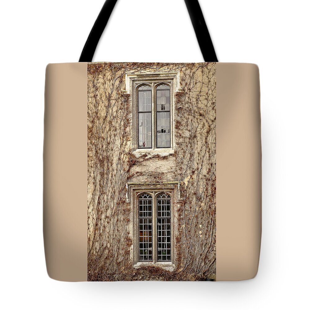 Winter Tote Bag featuring the photograph Lancet windows and climbers around them. Winter time. by Elena Perelman