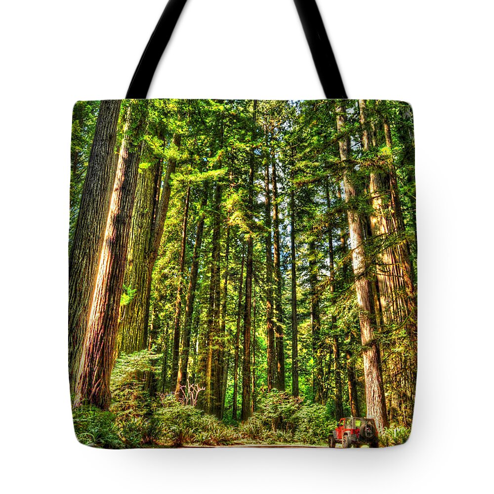 Photograph Tote Bag featuring the photograph Land of the Giants by Richard Gehlbach