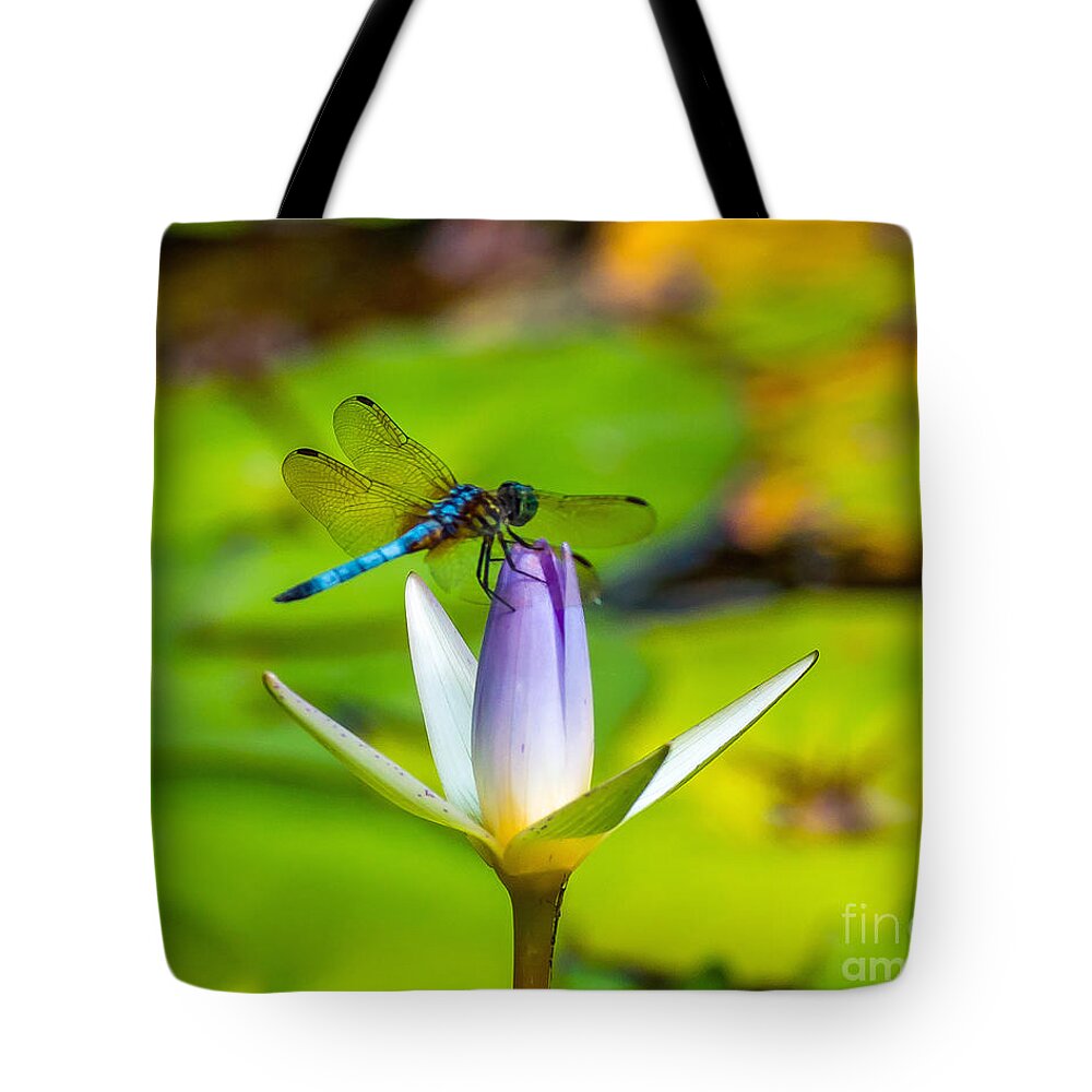 Water Lily Tote Bag featuring the photograph Landed on the Lily by Stephen Whalen