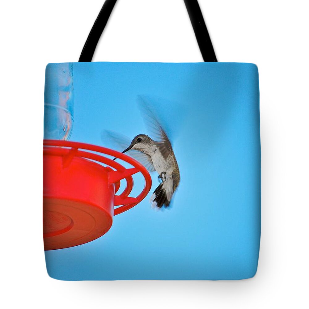 Hummingbirds Tote Bag featuring the photograph Landing by Donna Shahan