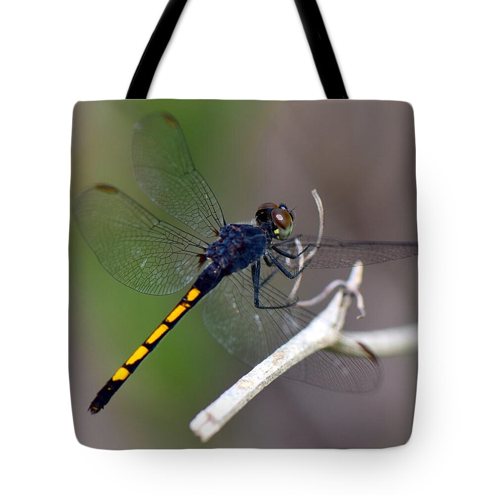 Dragonfly Tote Bag featuring the photograph Landing for a moment..... by Dan Williams