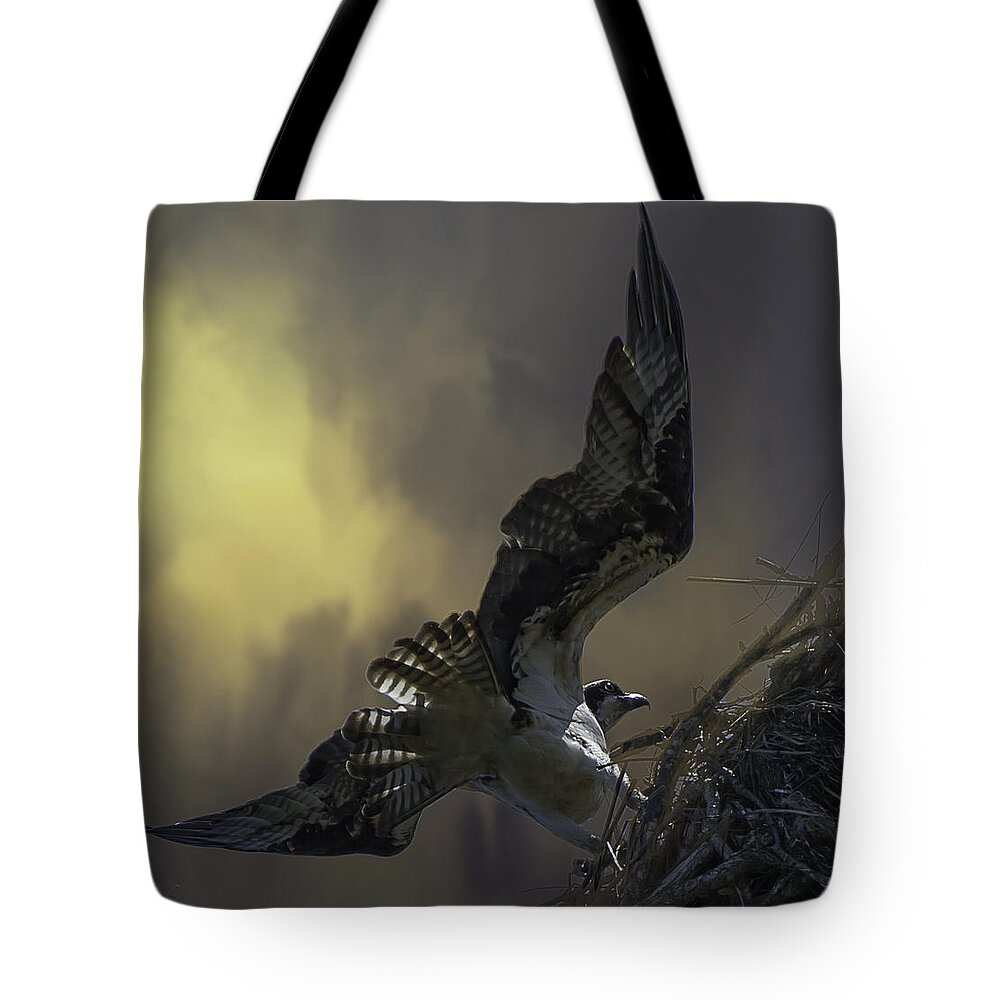 Osprey Tote Bag featuring the photograph Landing by Mary Clough