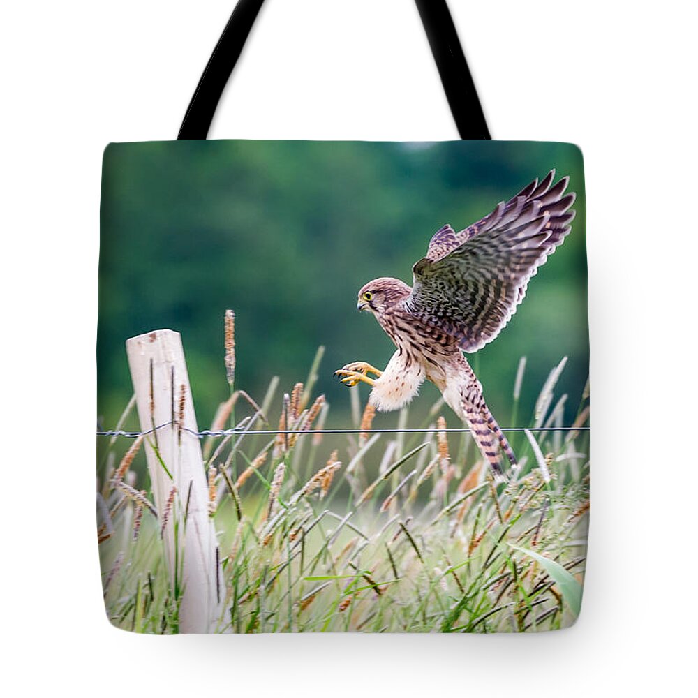 Kestrel's Landing Tote Bag featuring the photograph Landing by Torbjorn Swenelius
