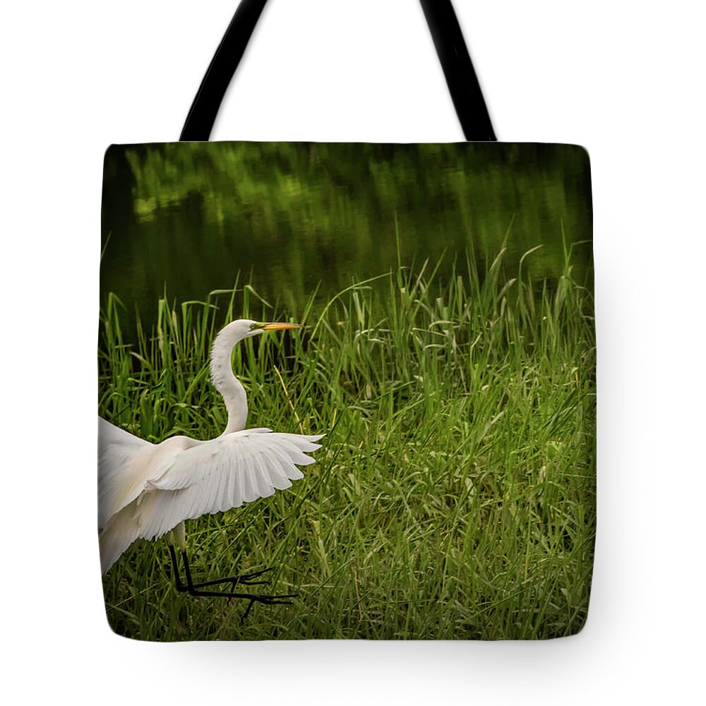 Great Egret Tote Bag featuring the photograph Landing Zone by Ray Congrove