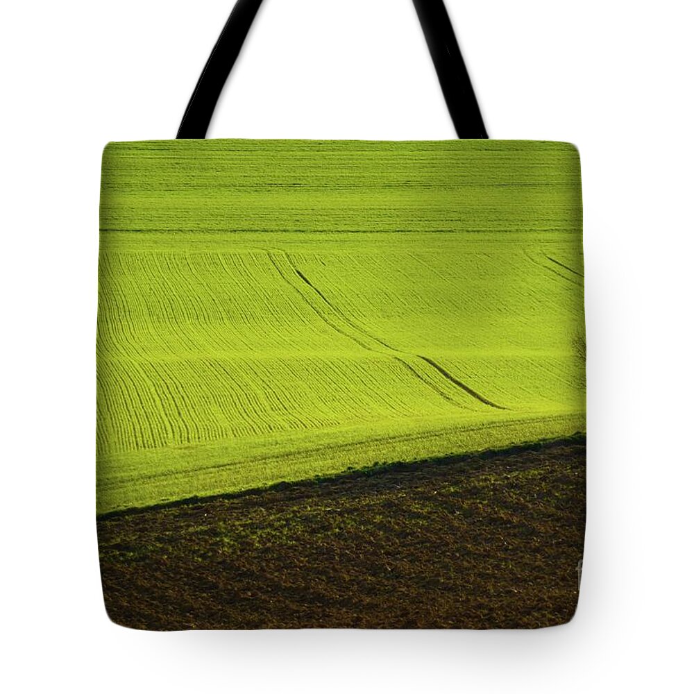 Adornment Tote Bag featuring the photograph Landscape 4 by Jean Bernard Roussilhe