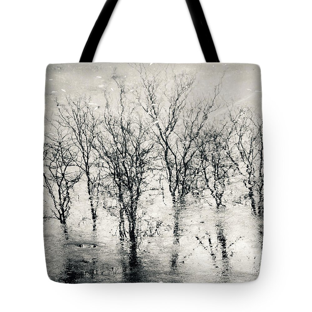 Landscape Tote Bag featuring the photograph Landscape reflection forest by Dimitar Hristov