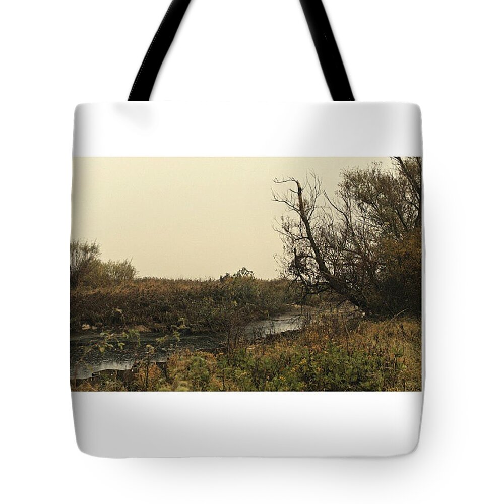 Stausee Tote Bag featuring the photograph #landscape #stausee #mothernature #tree by Mandy Tabatt