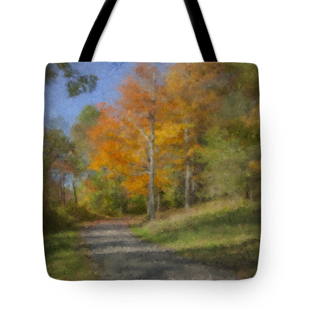 Peak Colors Tote Bag featuring the painting Langwater Path in October by Bill McEntee