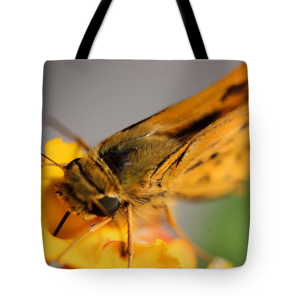 Landscape Tote Bag featuring the photograph Lantana Butterfly One by Morgan Carter