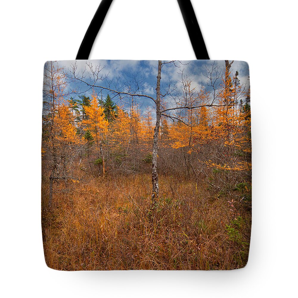 Blue Mountain-birch Cove Lakes Wilderness Tote Bag featuring the photograph Larch Meadow Gold by Irwin Barrett