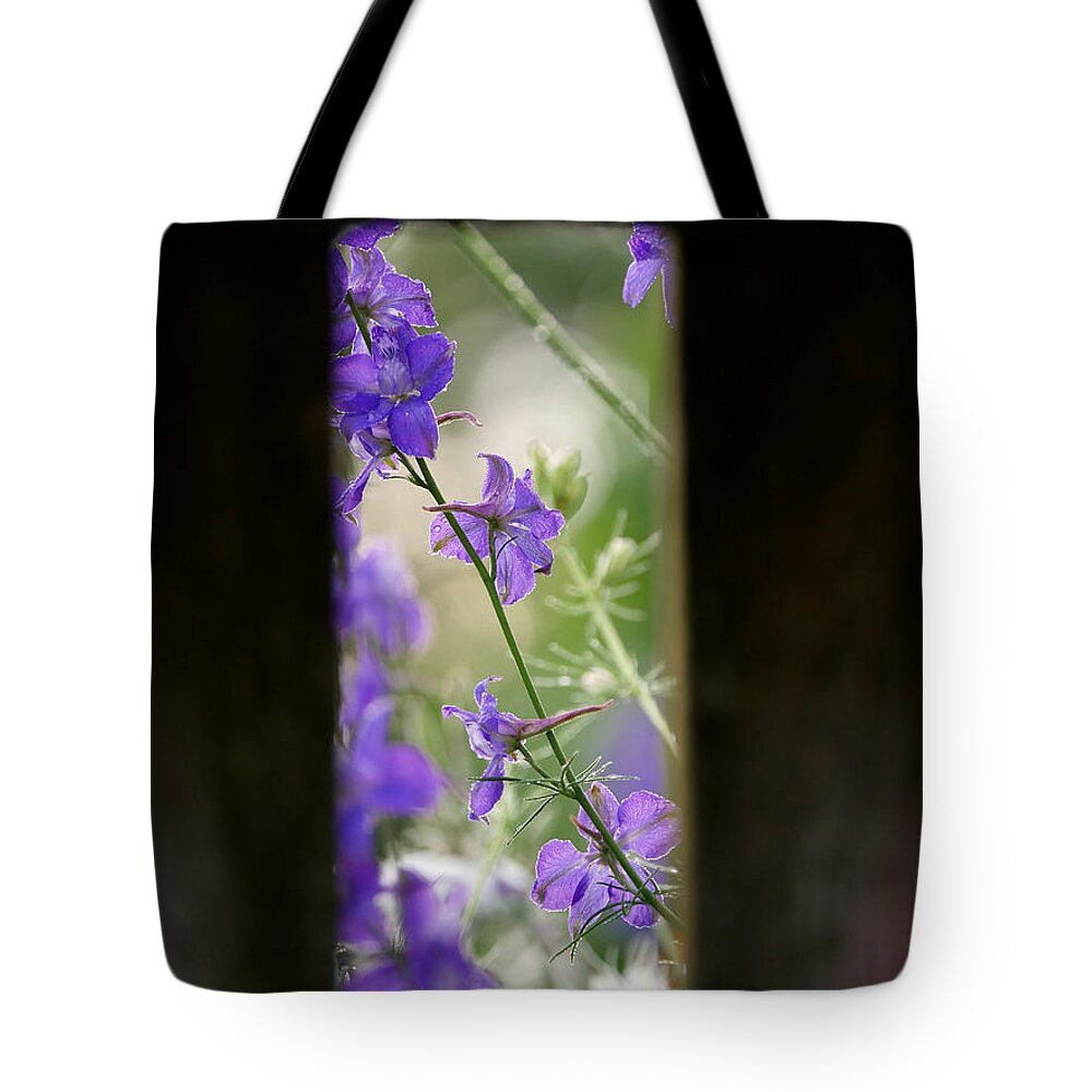 Larkspur Tote Bag featuring the photograph Larkspur in Spring by Rachel Morrison