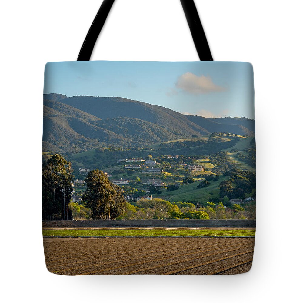 River Road Tote Bag featuring the photograph Las Palmas by Derek Dean