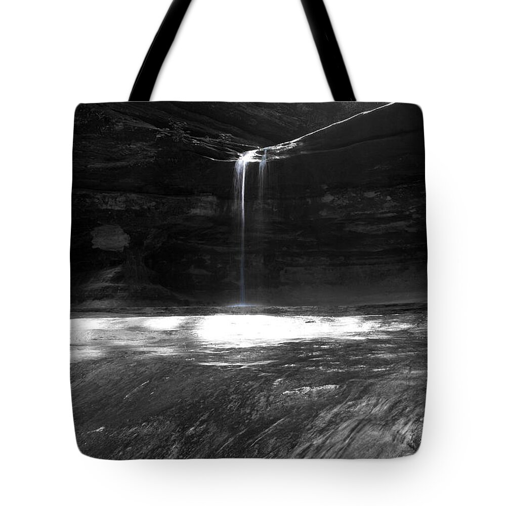 Lasalle Canyon Tote Bag featuring the photograph LaSalle Canyon by Dylan Punke