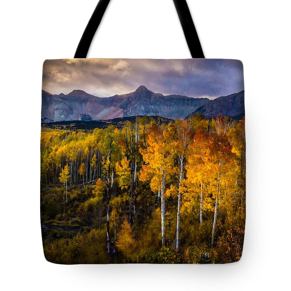 Last Dollar Rd Tote Bag featuring the photograph Last Dollar by Ryan Smith
