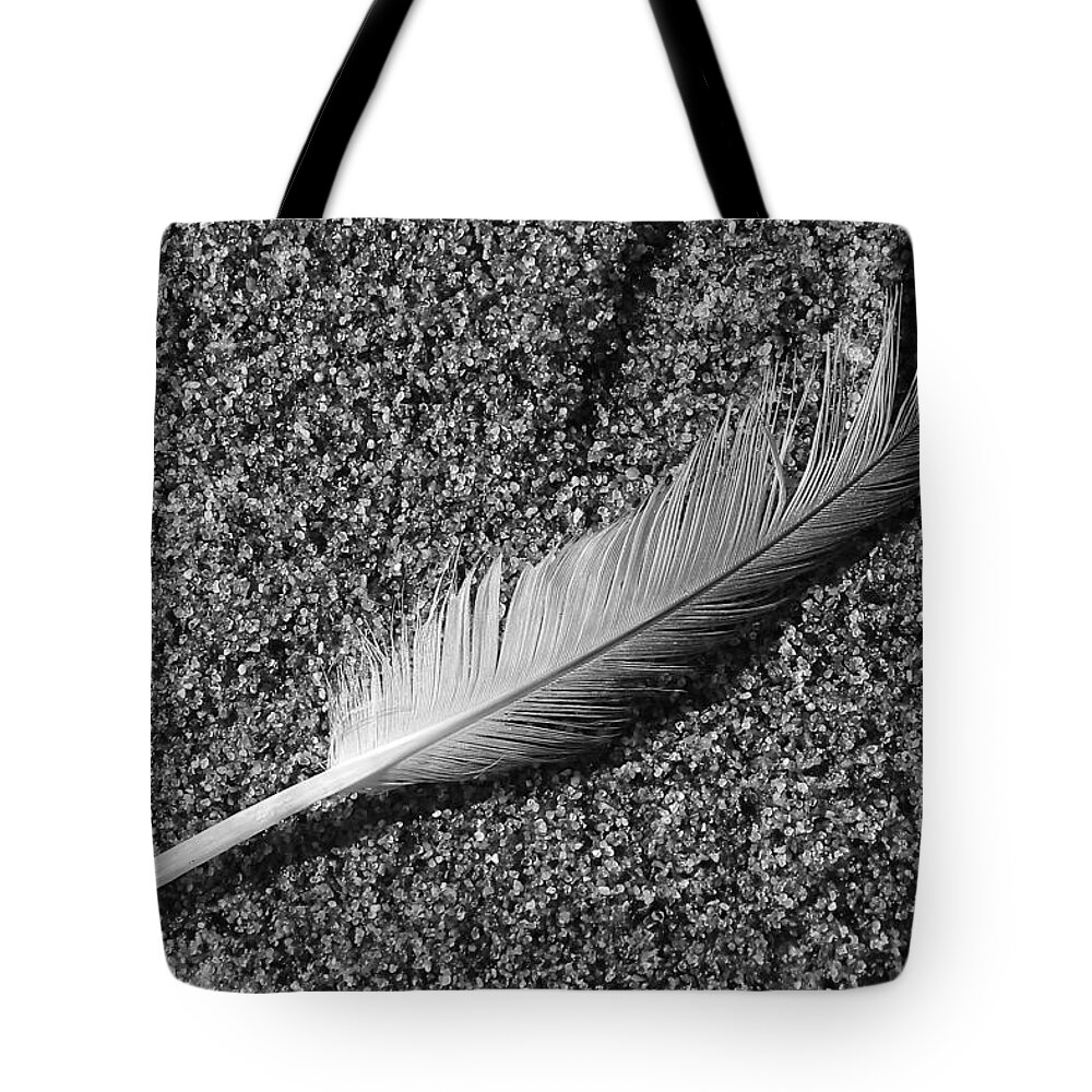 Feather Tote Bag featuring the photograph Last flight by John Meader