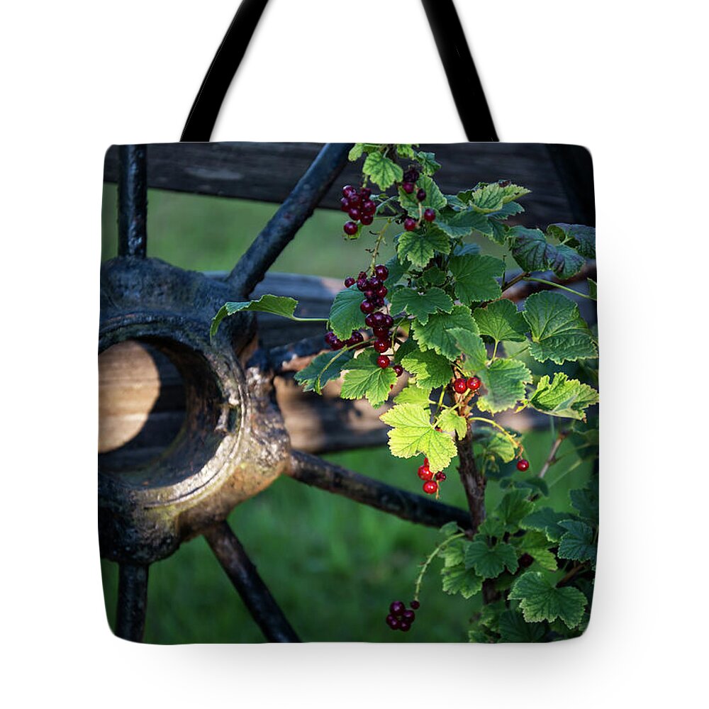 Fence Tote Bag featuring the photograph Last Light - Color by Carol Lloyd