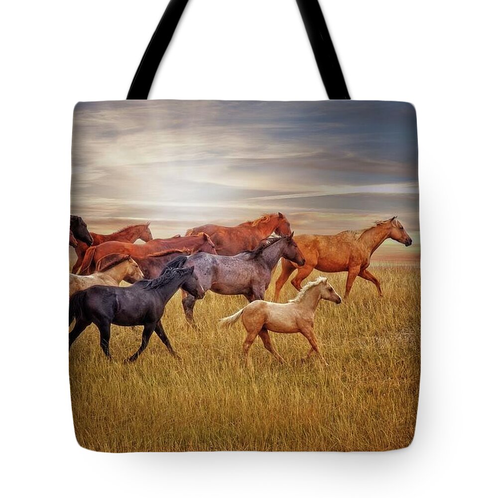 Sunset Tote Bag featuring the photograph Last Light's Run by Amanda Smith