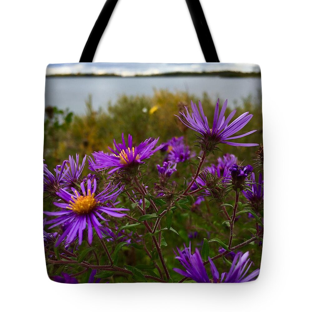 Flowers Tote Bag featuring the photograph Last moments of Summer by Cristina Stefan