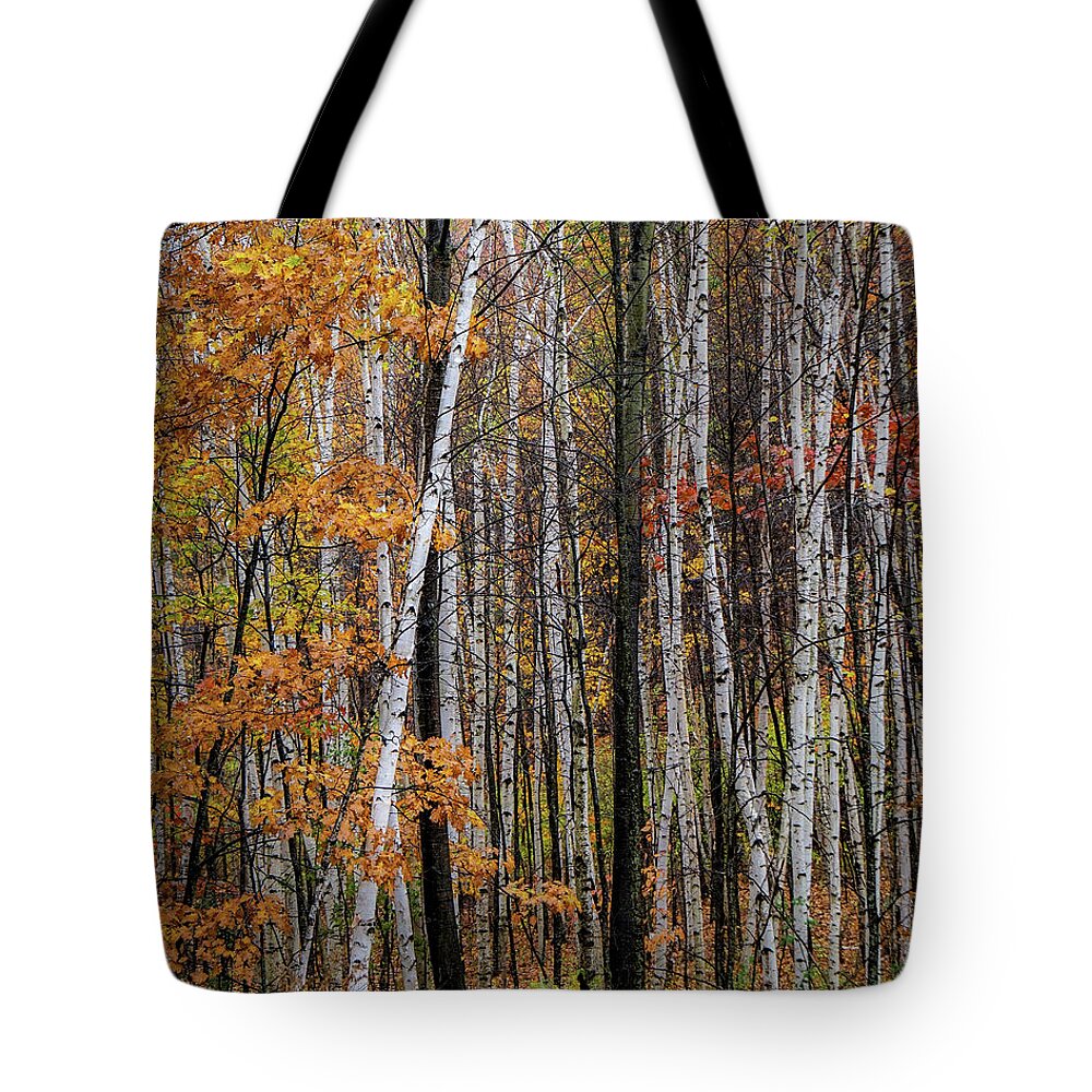 Autumn Tote Bag featuring the photograph Last Stand by Kendall McKernon
