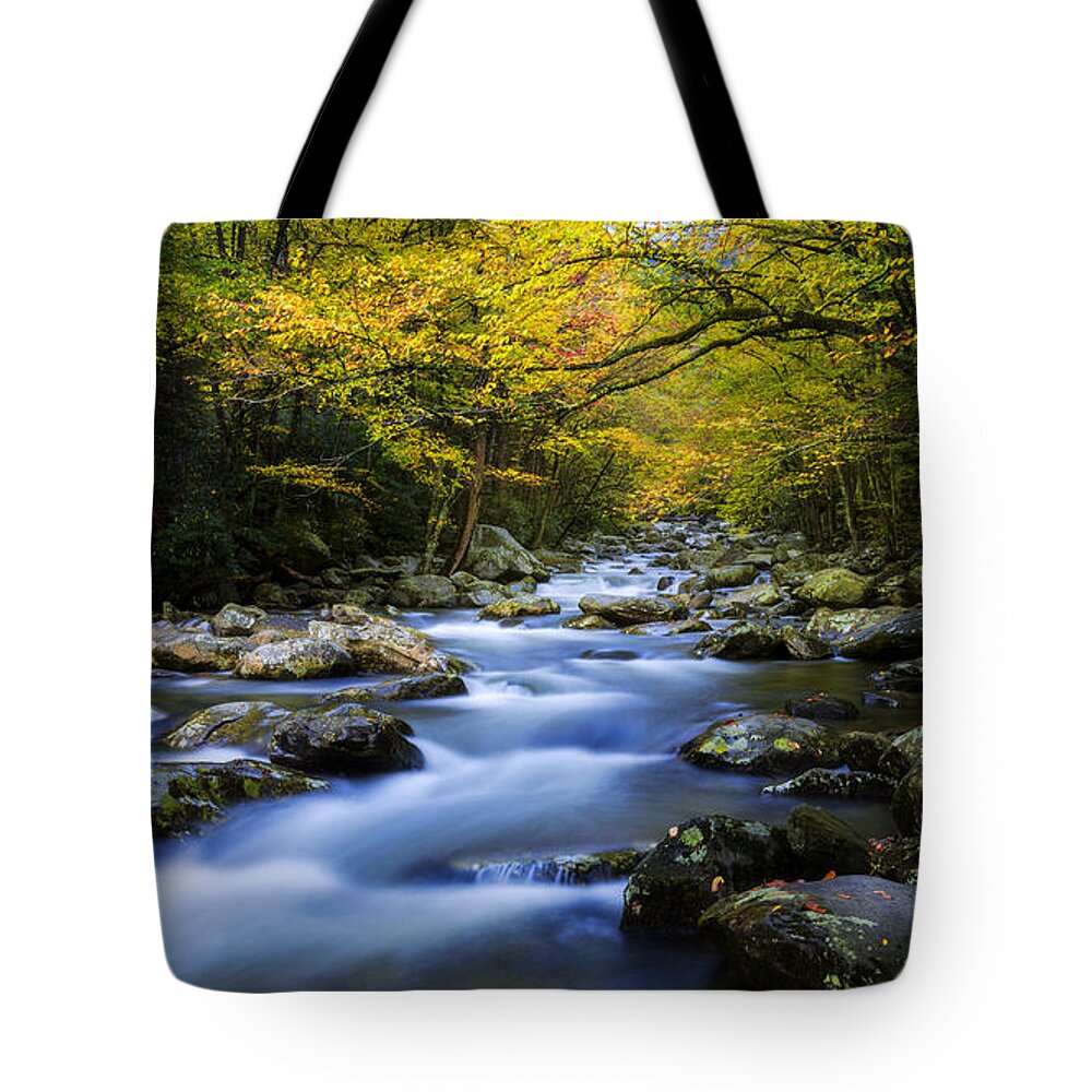 Nature Tote Bag featuring the photograph Last Stop by Chad Dutson