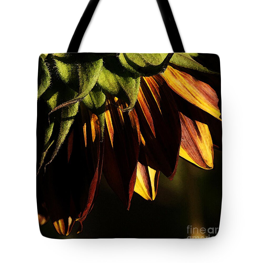 Sunflower Tote Bag featuring the photograph Late Afternoon by Linda Shafer