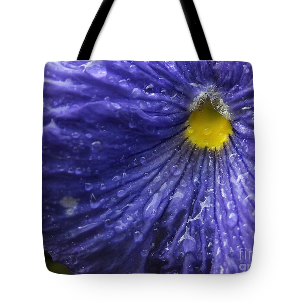 Flowers Tote Bag featuring the photograph Late December by Lili Feinstein