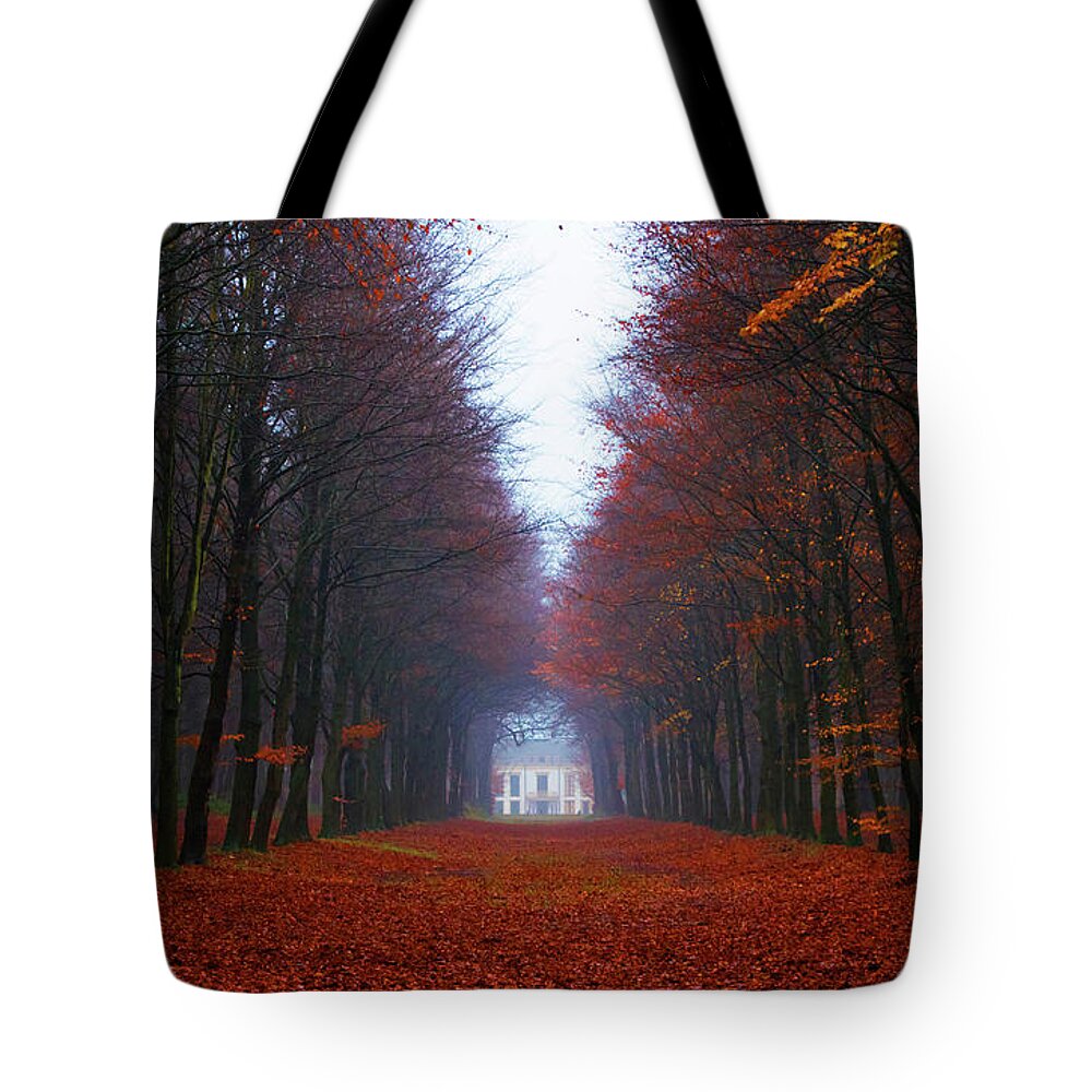 Autumn Tote Bag featuring the photograph Late fall forest by Mihaela Pater