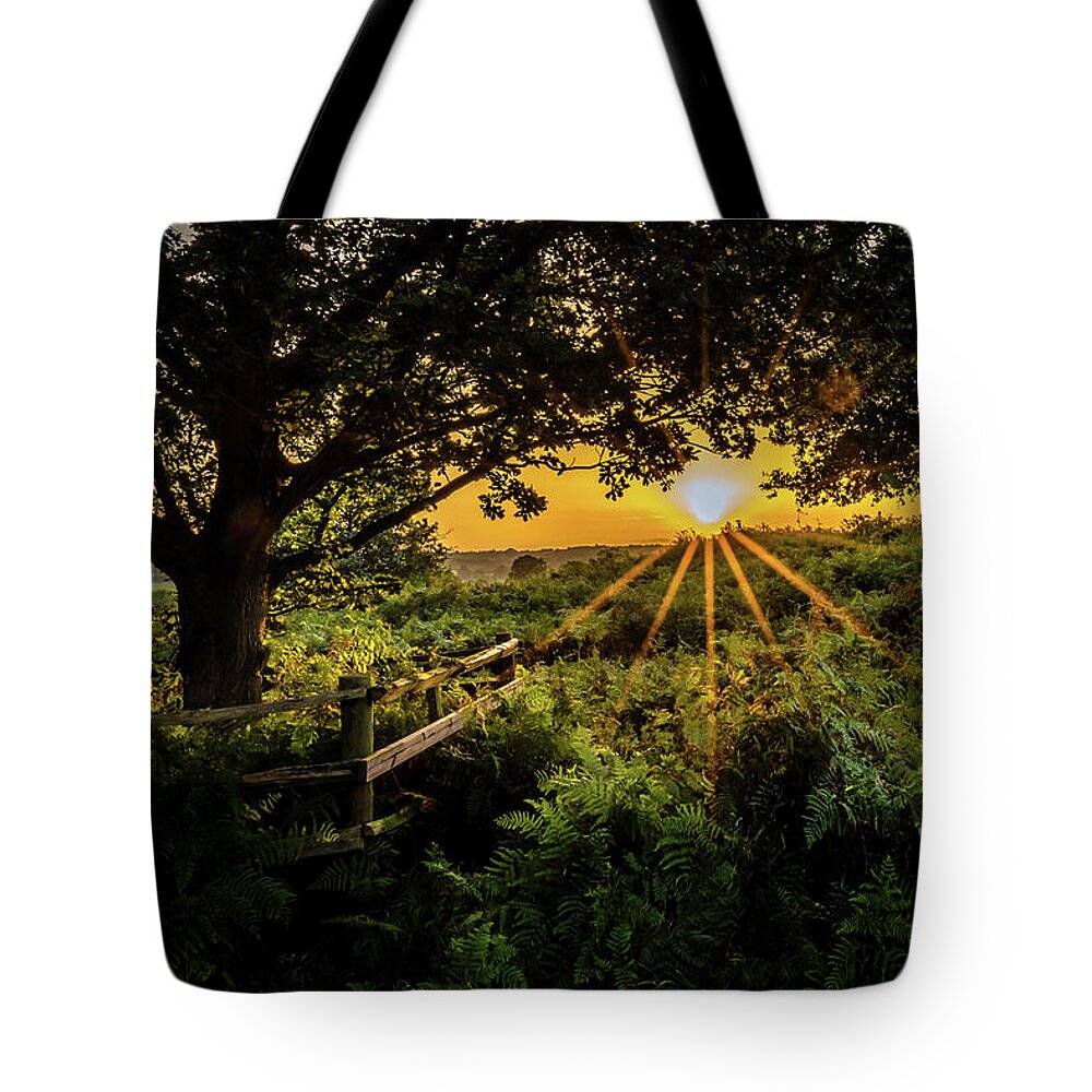 Sunset Tote Bag featuring the photograph Late Glow by Nick Bywater