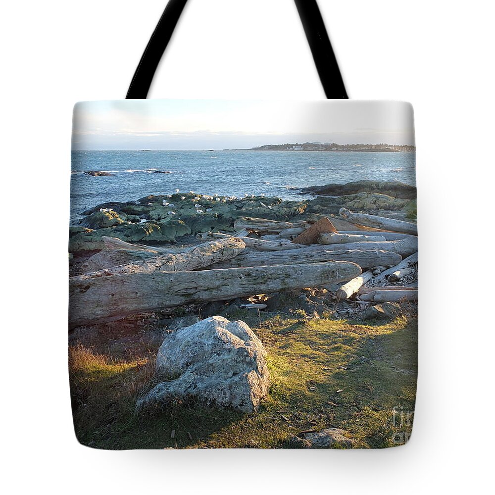 It Was Late Afternoon Standing Out By Cattle Loop Point In Victoria Bc. We Had Just Finished With The Windstorms And Arctic Outflows Leaving Behind Lots For Crafters And Artists To Peruse Through On The Beaches. Tote Bag featuring the photograph Late In The Day by Ida Eriksen