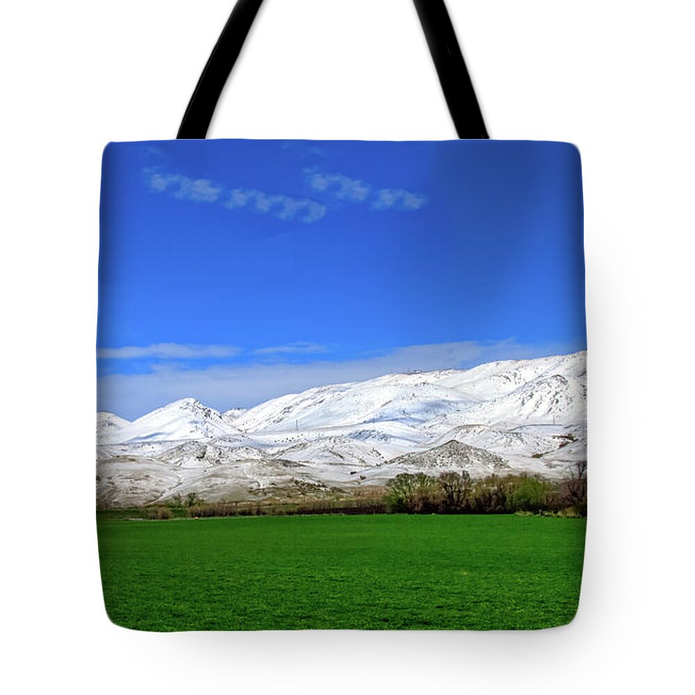 Snow Tote Bag featuring the photograph Late Spring View by Robert Bales