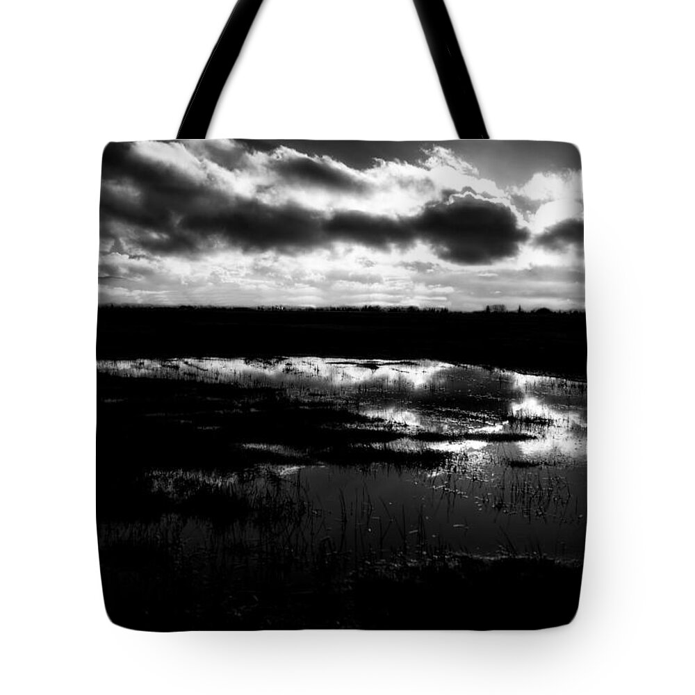 B&w Tote Bag featuring the photograph Late Winter Afternoon by Mick Anderson