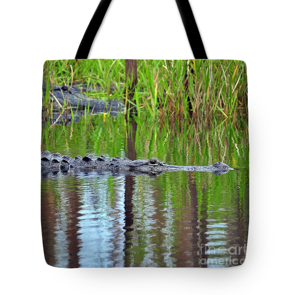 Alligator Tote Bag featuring the photograph Later Gator by Al Powell Photography USA