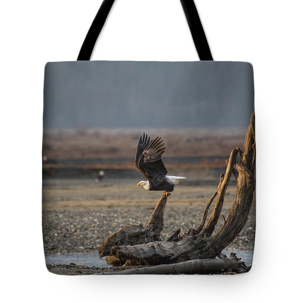 Bald Eagle Tote Bag featuring the photograph Launch by David Kirby