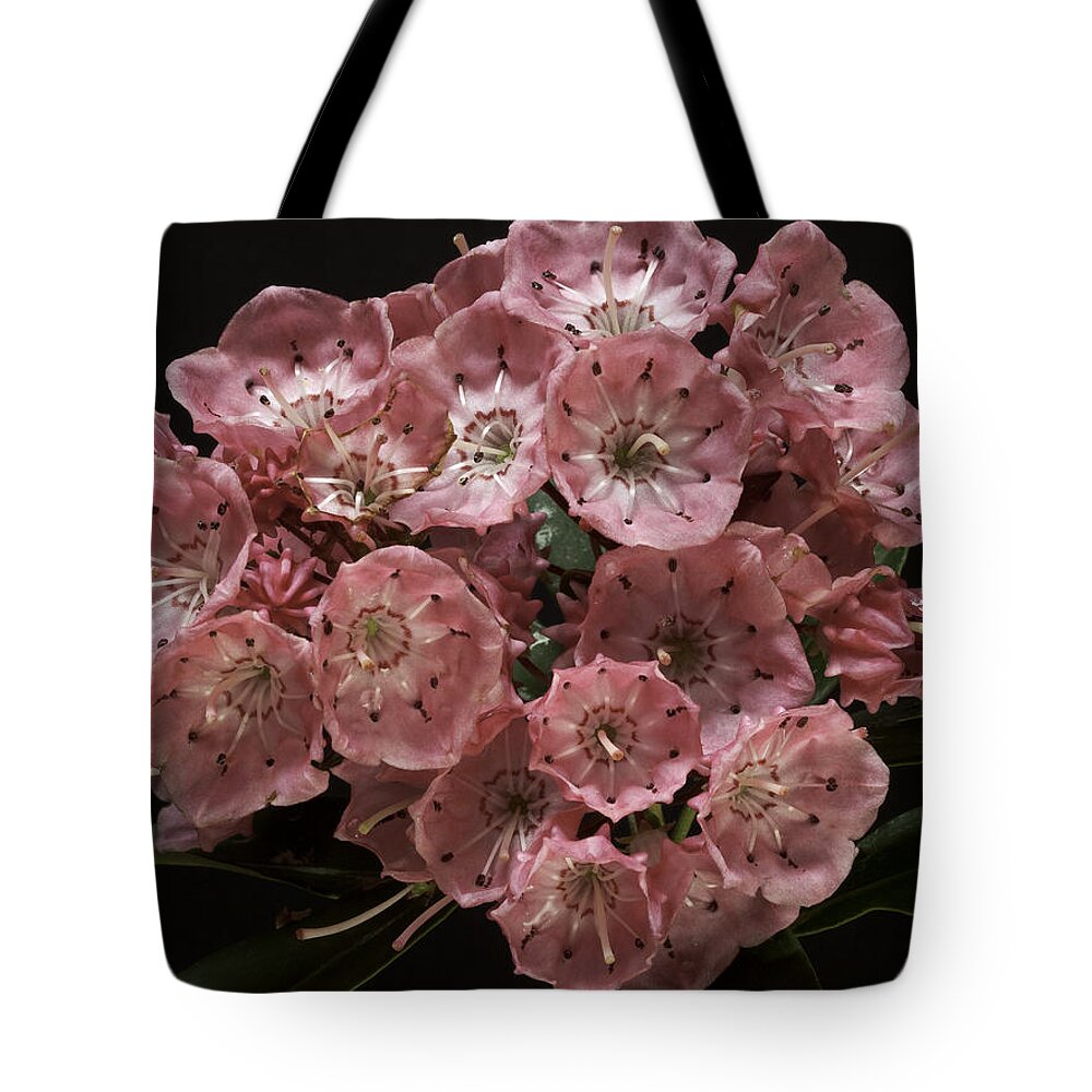 Flower Tote Bag featuring the photograph Laurel by Fran Gallogly