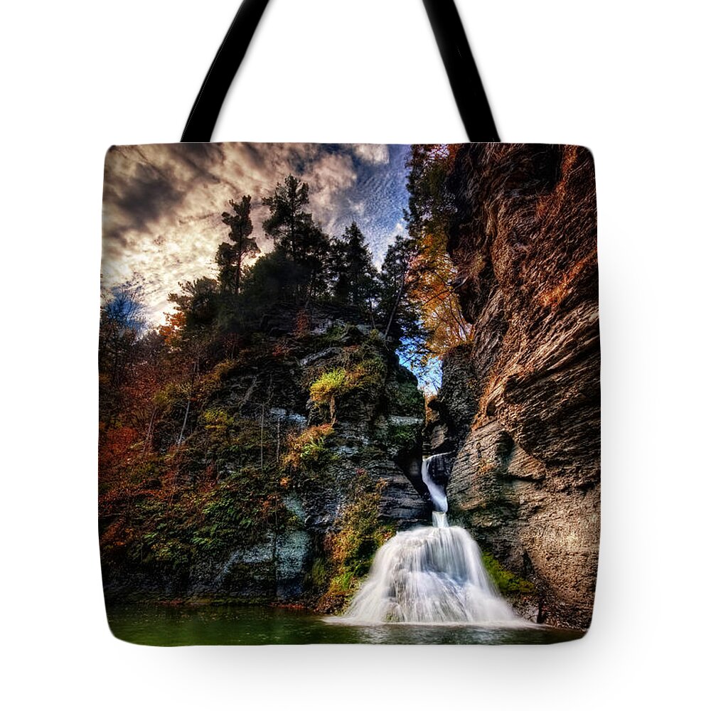 Mine Kill State Park Tote Bag featuring the photograph Laurelindorinan by Neil Shapiro