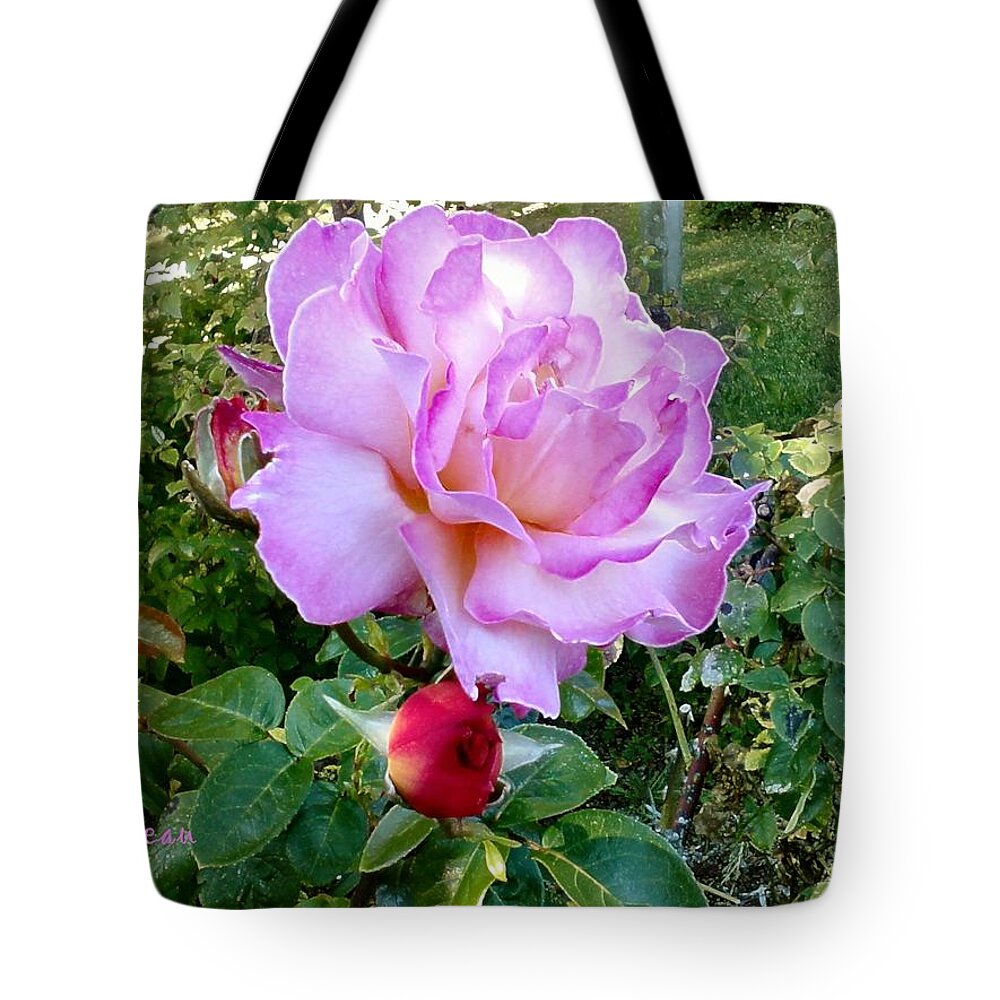 Roses Tote Bag featuring the photograph Lavendar Rose by A L Sadie Reneau