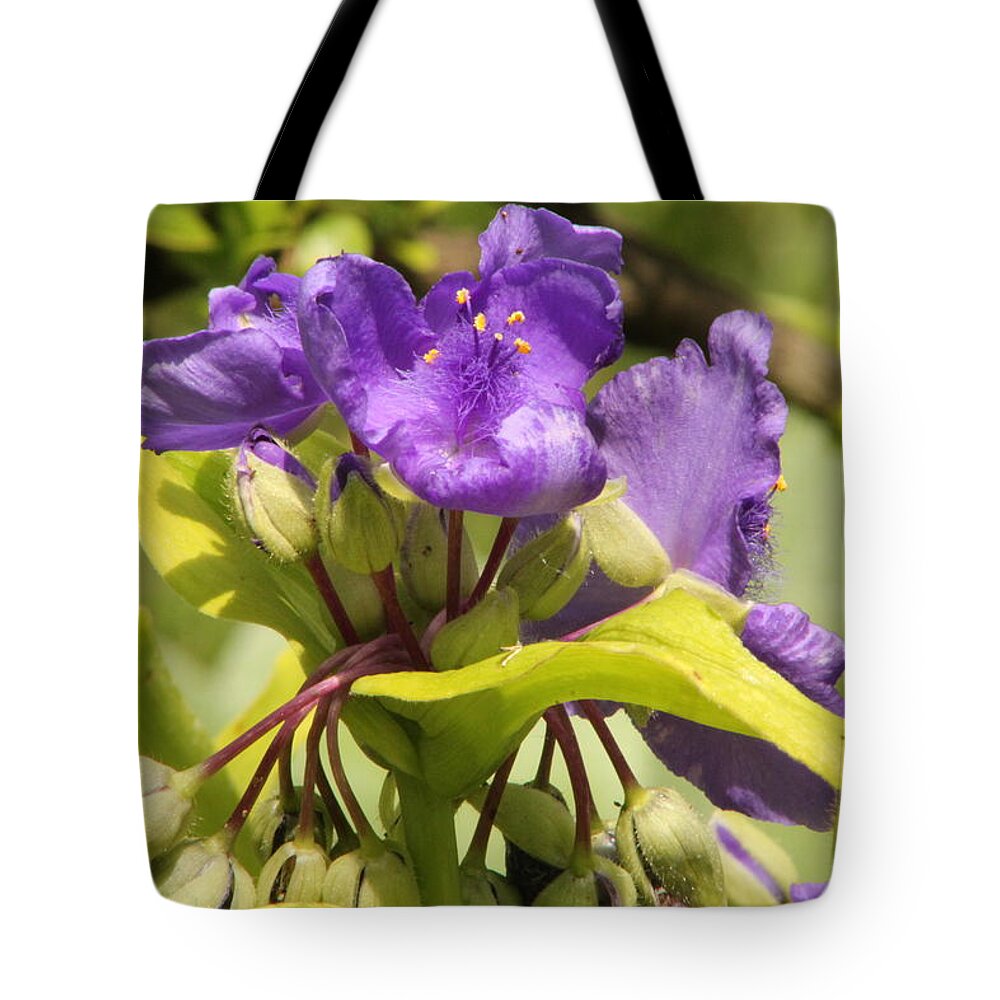 Flower Tote Bag featuring the photograph Lavender and Lime by Deborah Crew-Johnson