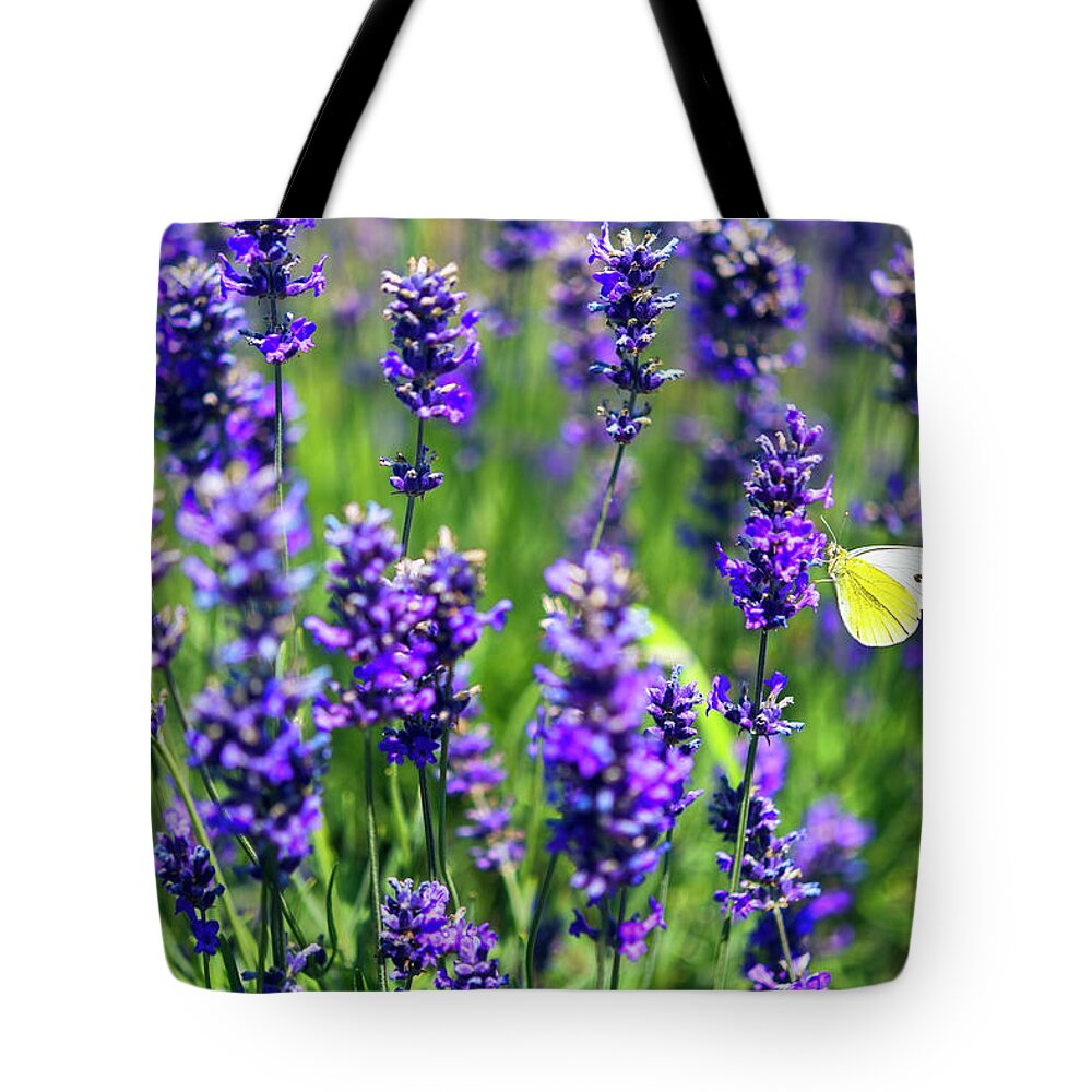 Butterfly Tote Bag featuring the photograph Lavender and the Heart by Ryan Manuel