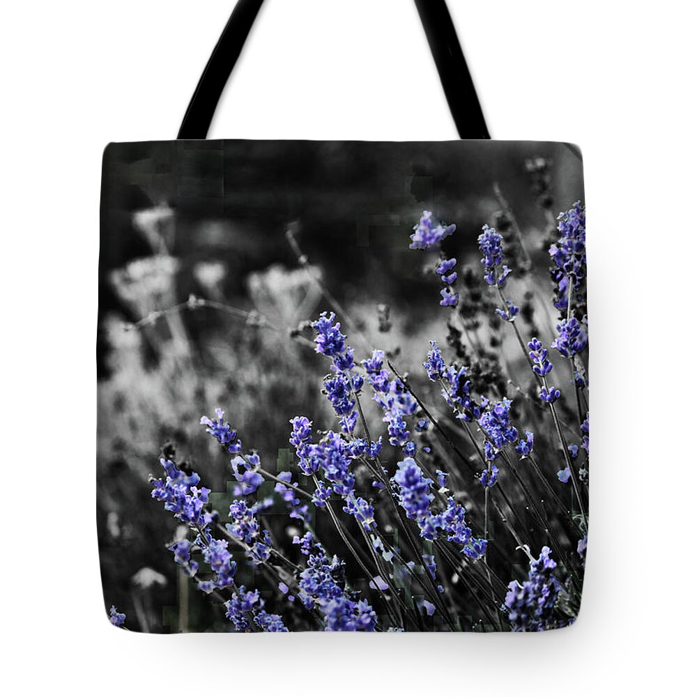 Garden Tote Bag featuring the photograph Lavender B and W by April Burton