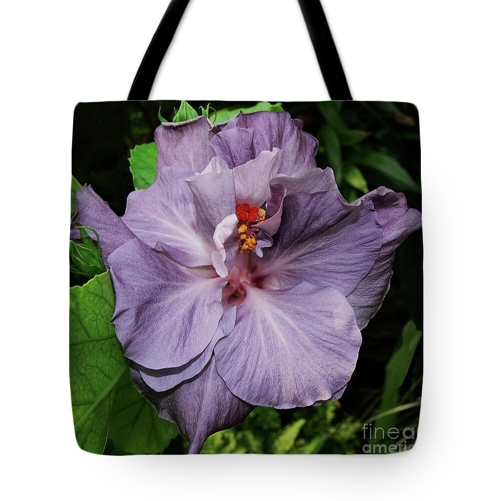 Hibiscus Tote Bag featuring the photograph Lavender by Doug Norkum