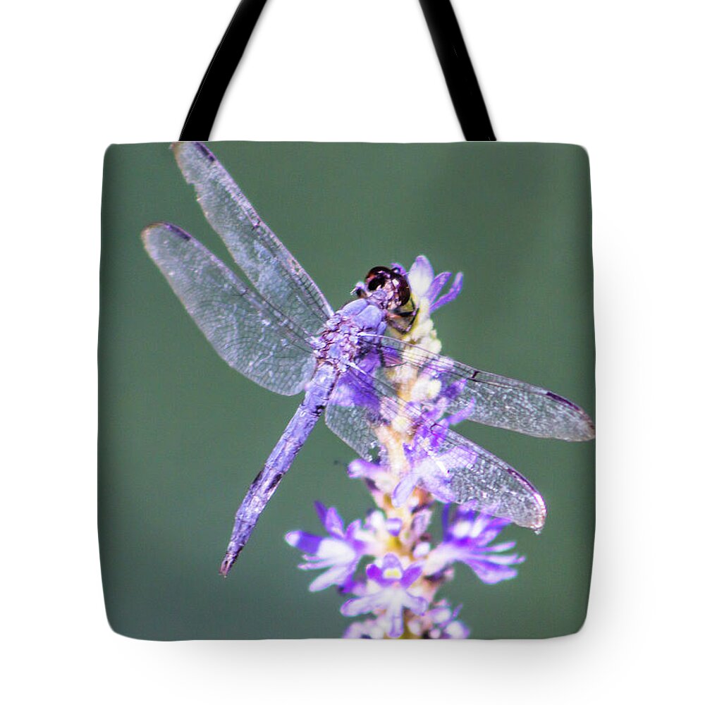Lavender Tote Bag featuring the photograph Lavender Dragonfly by Maggie Brown