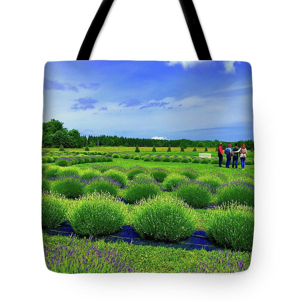 Wisconsin Tote Bag featuring the photograph Lavender Fields by Rod Whyte