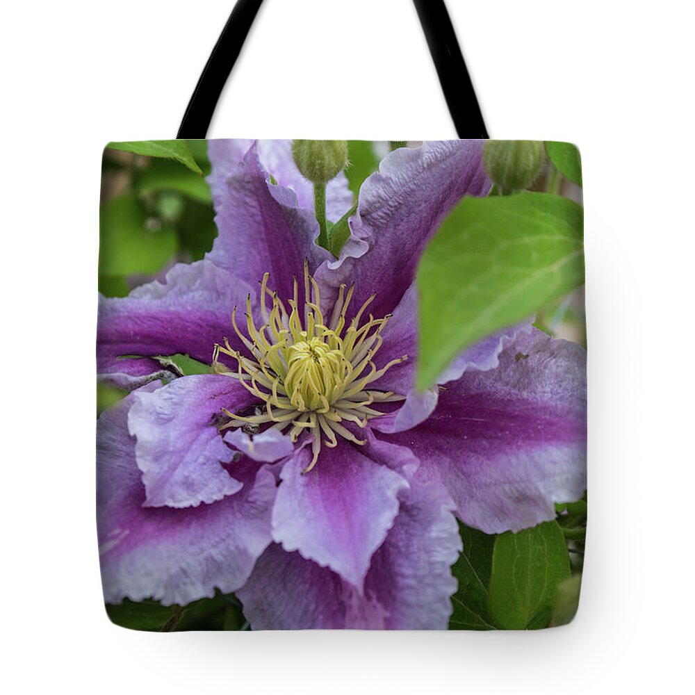 Flower Tote Bag featuring the photograph Lavender Flower by James Gay