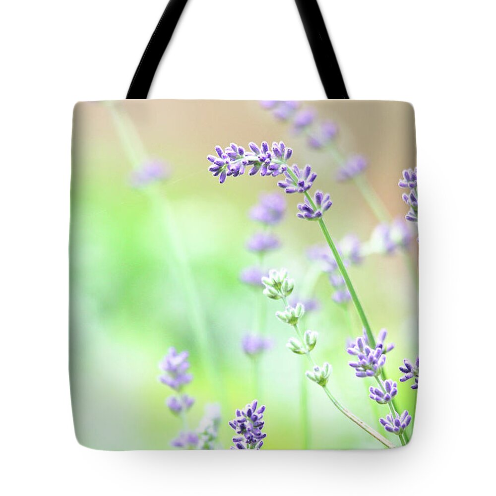 Lavender Tote Bag featuring the photograph Lavender Garden by Trina Ansel
