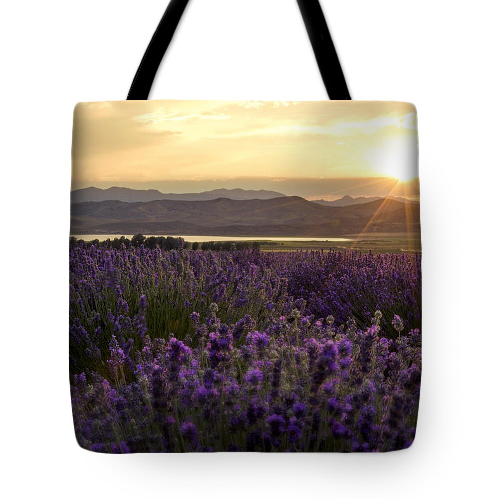 Lavender Glow Tote Bag featuring the photograph Lavender Glow by Chad Dutson