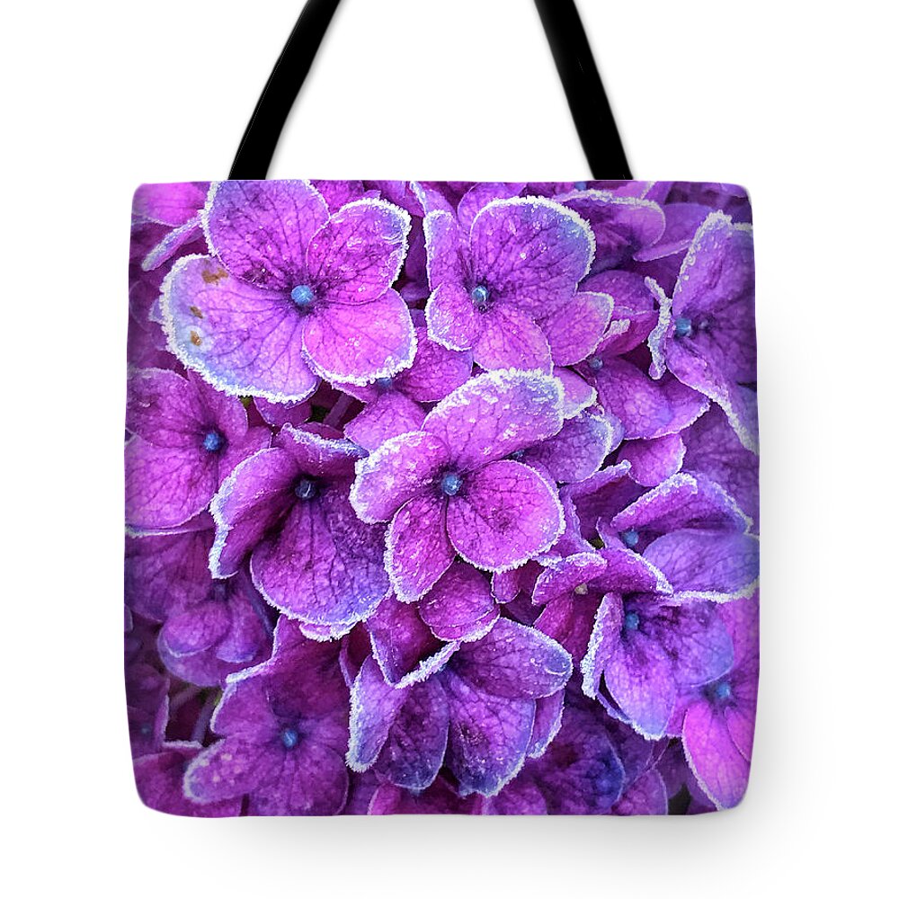 Delphinium Tote Bag featuring the photograph Lavender Ice by Jill Love