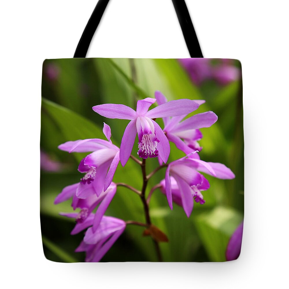 Orchid Tote Bag featuring the photograph Lavender Orchid by Judy Vincent