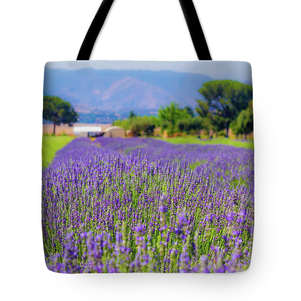 California Tote Bag featuring the photograph Lavender by Peter Tellone